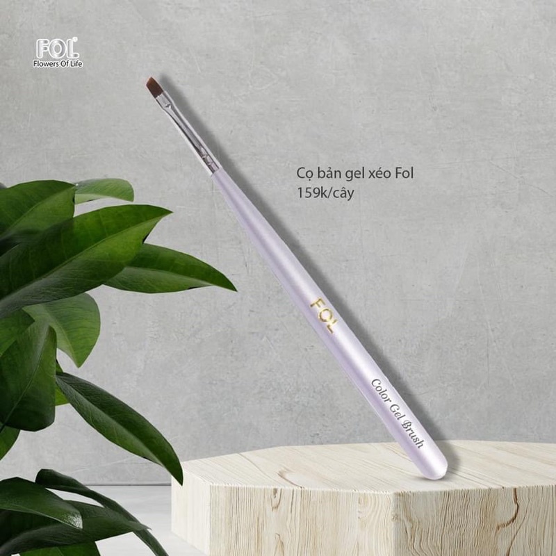 Cọ Bản Xéo Fol , Cọ Vẽ Móng Chuyên Nghiệp