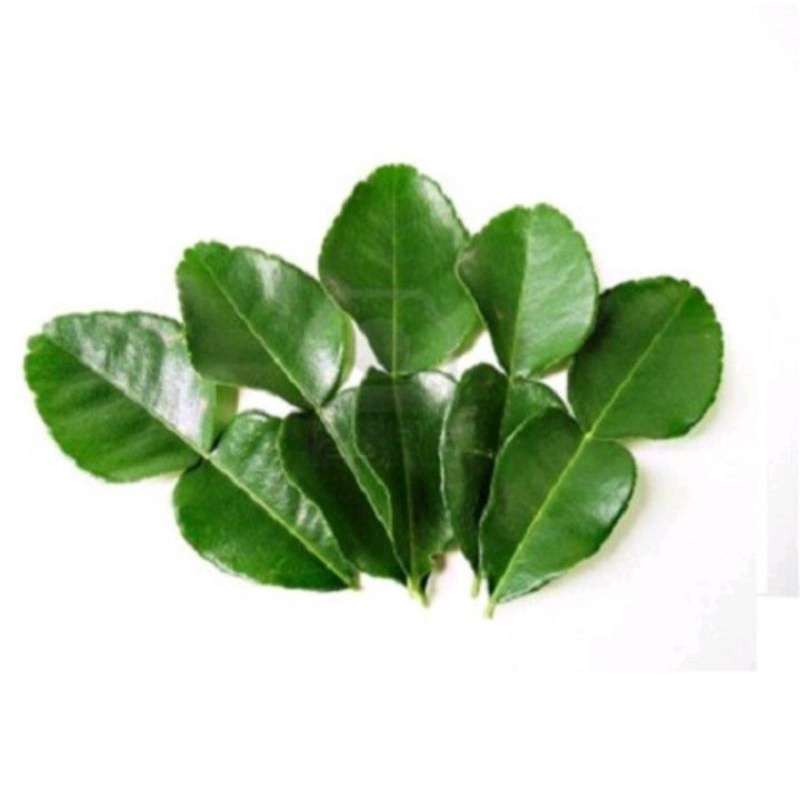 Lá bưởi tươi