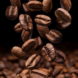 Cà phê pha máy Espresso Balance 500gr
