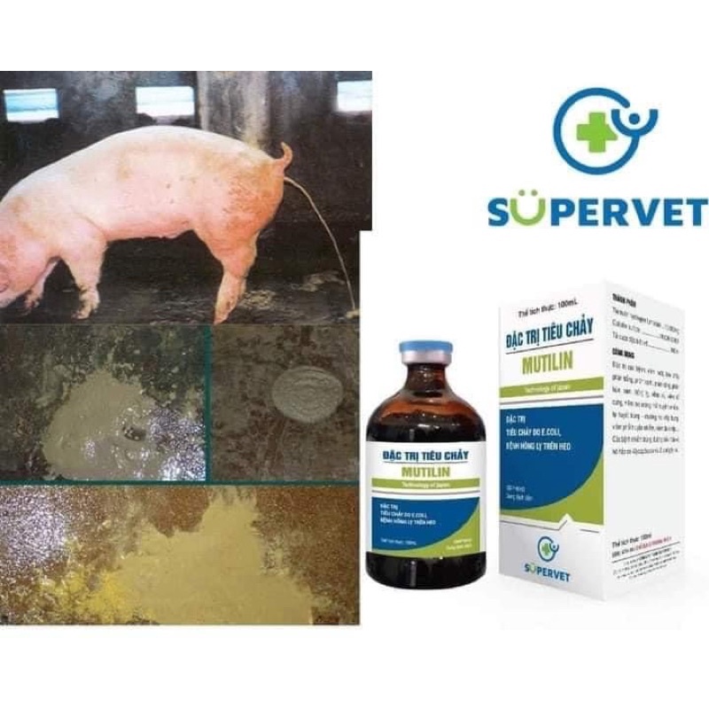 Mutilin 100ml - tiêu chảy, viêm hồi manh tràng, hồng lỵ trên heo