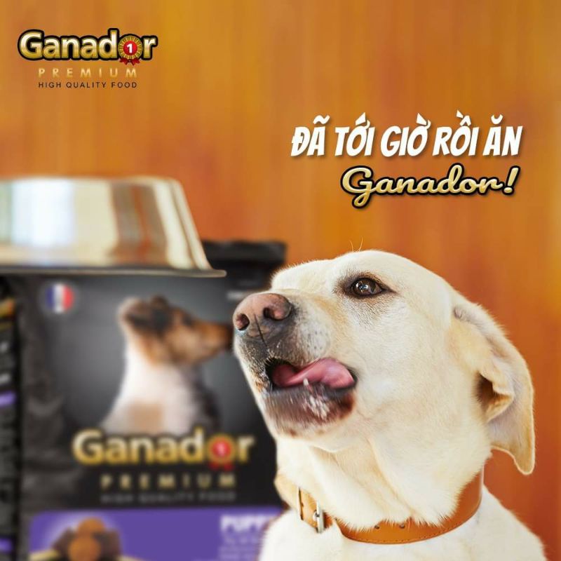 [GANADOR SỮA + DHA] [3KG] Thức ăn hạt cao cấp Ganador cho chó con - Vị sữa + DHA