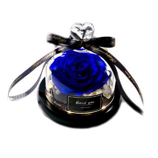 9 Colors Creative Dried Rose Flower With Glass Dome Heart LED Lights Valentines Day Wedding Gift