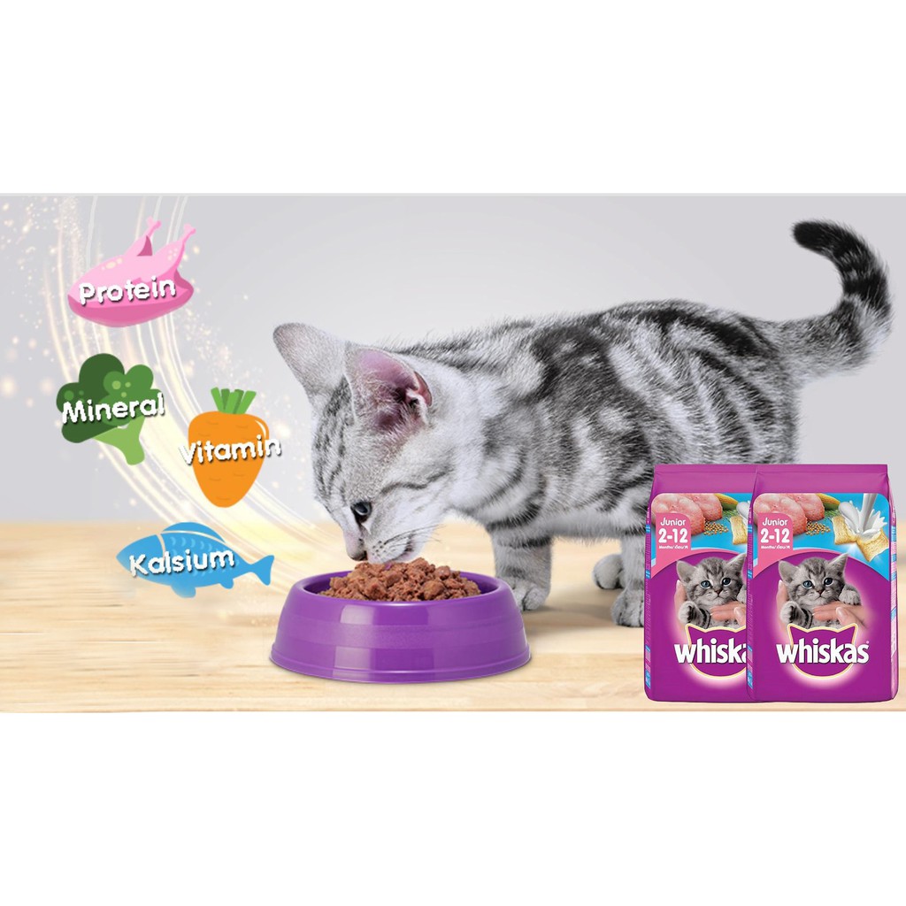 Hạt Whiskas Junior Cho Mèo Con Vị Cá Biển