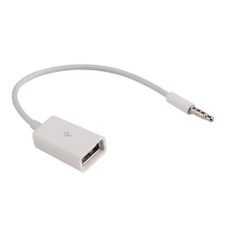 Cáp chuyển đổi 3,5mm aux ra usb female