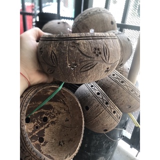 Gáo dừa treo lan