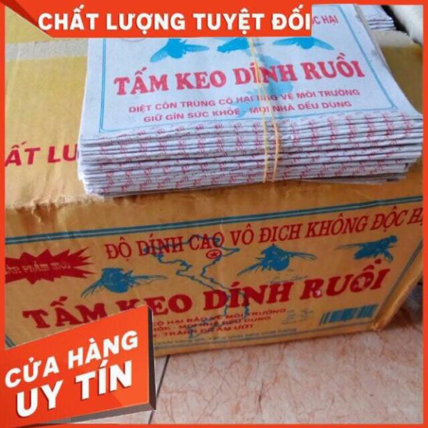 [CHẤT LƯỢNG] Bẫy dính ruồi siêu dính 10 cái