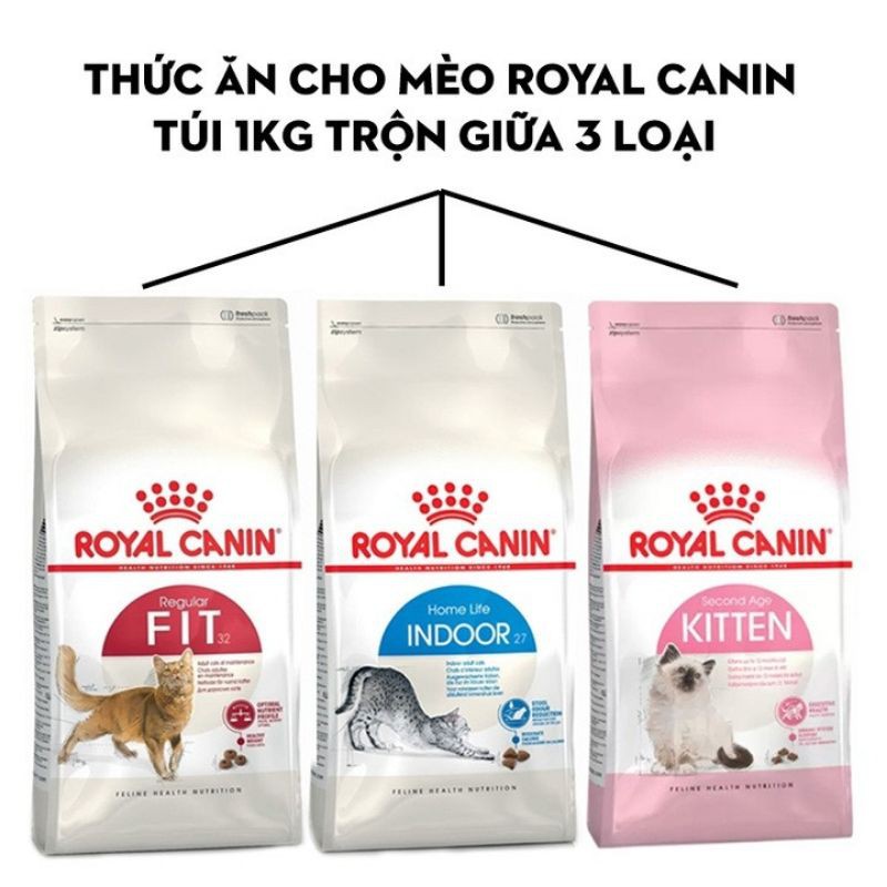 Thức ăn cho mèo Royal Canin mix tổng hợp Kitten, Indoor, Fit túi 1Kg