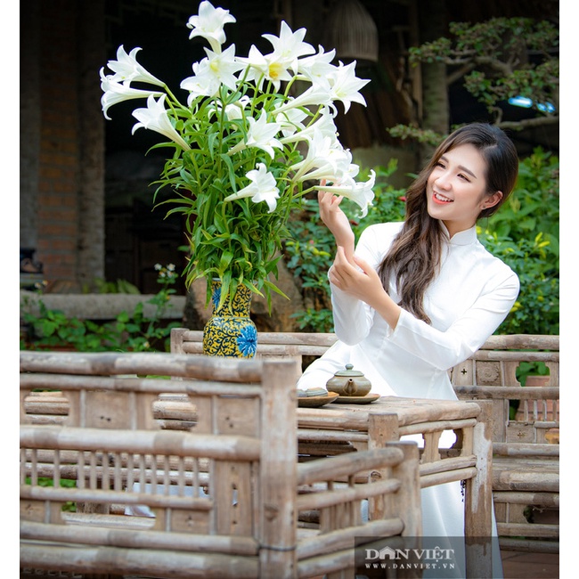 Hạt Giống Hoa Chuông - hoa loa kèn Đà Lạt Mix đủ màu