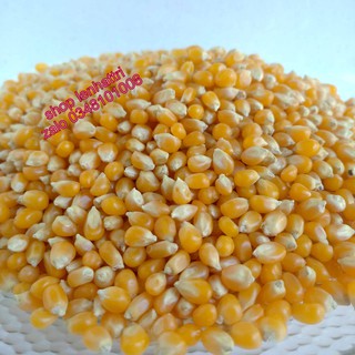 Bắp nổ bắp mỹ 1kg