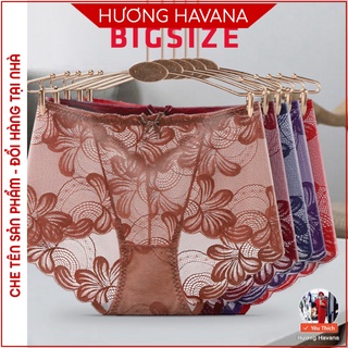 Quần lót nữ ren lưới cạp cao che bụng - bigsize - quần chip nữ mặc trong váy cao cấp FLQ64