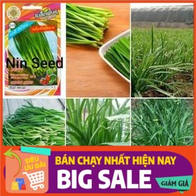 5000H - Hạt Giống Hẹ Cao Sản, Chất Lượng Cao CHIATAI