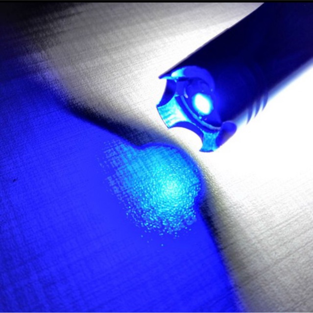 Đèn pha led 2 Chân M5 gắn xe sáng trắng