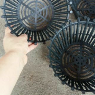 Chậu trồng lan rộng 20cm