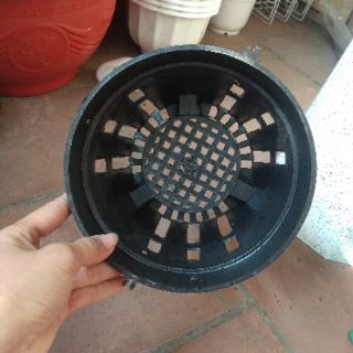 Chậu nhựa đen trồng lan phi 18cm