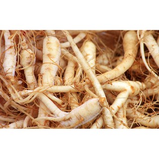 Củ Sâm Đất Khô - Loại 1 kg