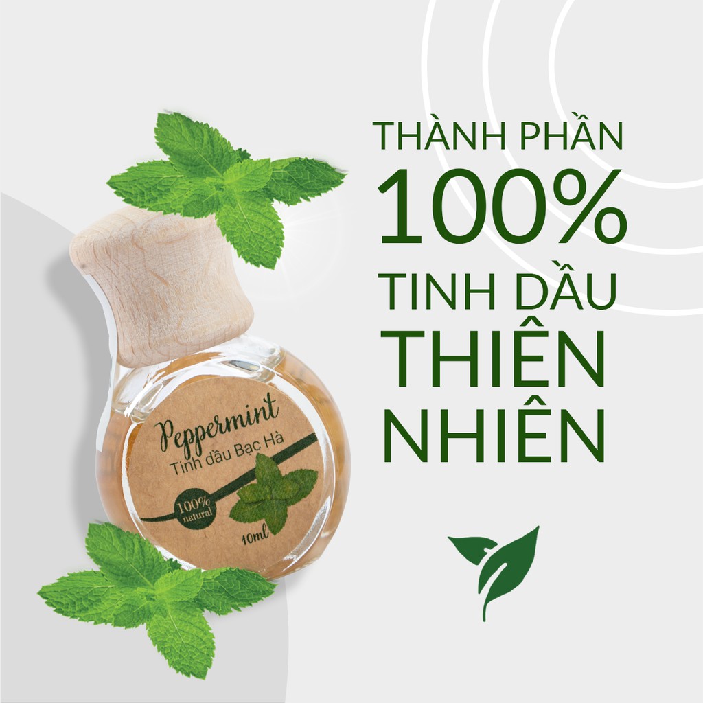 khuếch tán tinh dầu bạc hà