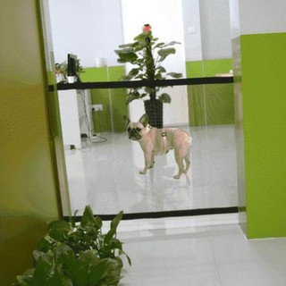 Lưới chặn em bé hoặc thú cưng cao cấp