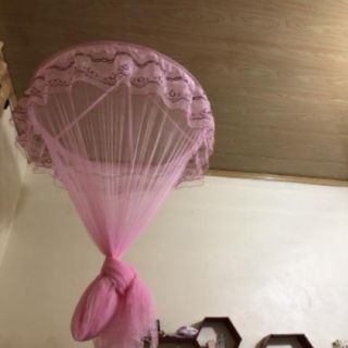 Mùng cung đình loại to nhất