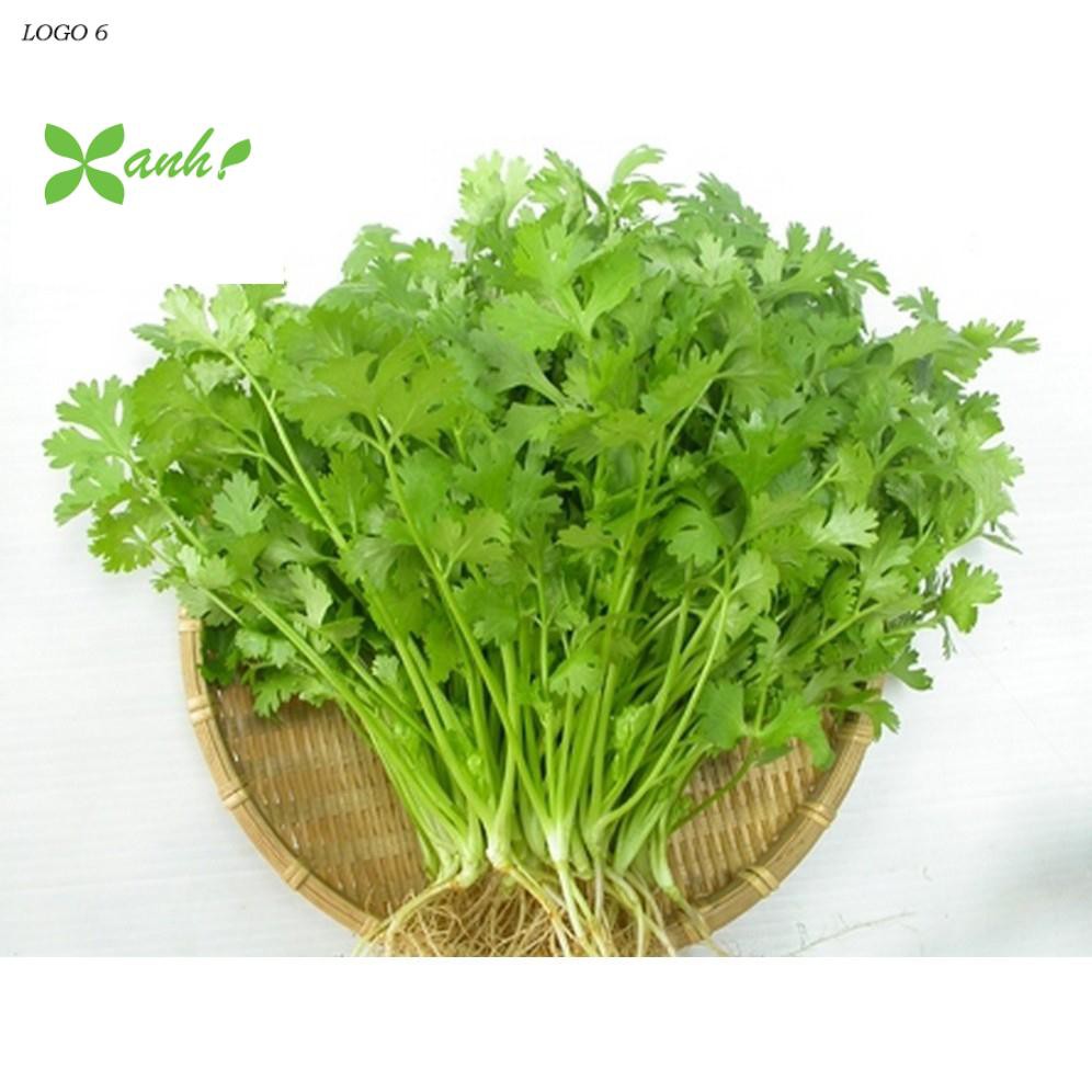 Hạt giống ngò rí (rau mùi) 20g