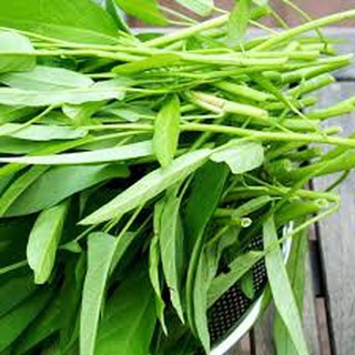30 Gram Hạt giống rau muống