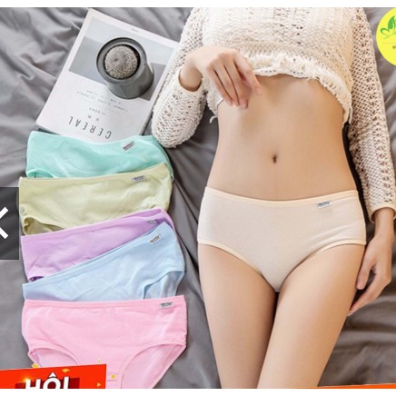 SALE LỚN XẢ KHO Quần Lót H.P PULO Chuẩn Xịn 036 | BigBuy360 - bigbuy360.vn