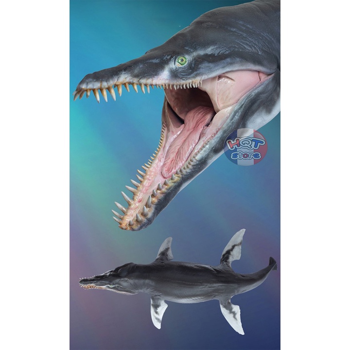 Mô hình Khủng Long Kronosaurus Jeff PNSO 2021 tỉ lệ 1/35 chính hãng