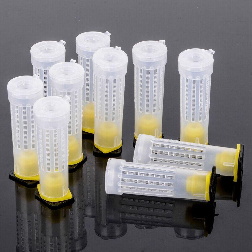 Vỏ Bọc Bảo Vệ Cốc Nuôi Ong Bằng Nhựa Tiện Dụng
