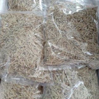 Cá ruội cơm Vân đồn, Quảng Ninh