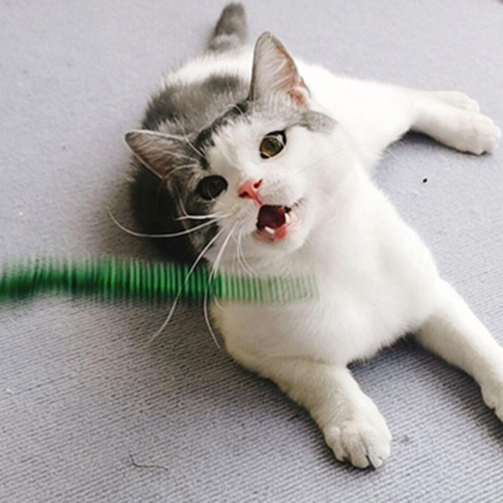 Gậy Kèm Gậy Huấn Luyện Thú Cưng Có Thể Thu Gọn Tiện Lợi