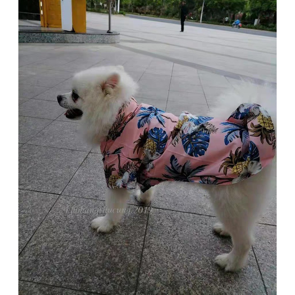 ÁO SƠ MI HOA LÁ- HỒNG (Size từ 1- 40kg)