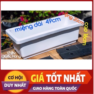 Chậu nhựa ngắn,máng khay trồng rau,nuôi cá loại ngắn