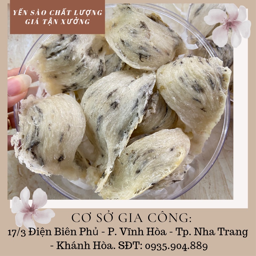 100gr tổ yến thô nguyên chất tặng nhíp, táo đỏ, đường phèn, hạt chia. Yến sào thô