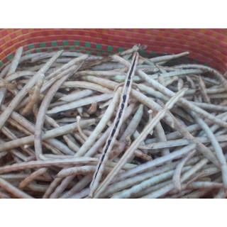 Trà đậu đen xanh lòng - Rang củi (Mát gan, lọc máu)