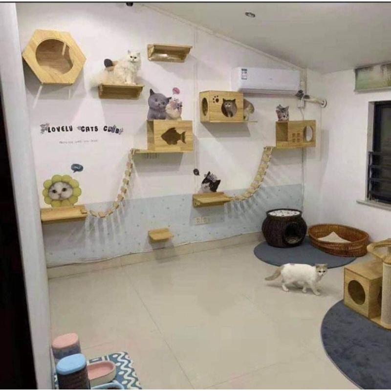 Cattree treo tường cho mèo chất gỗ đẹp