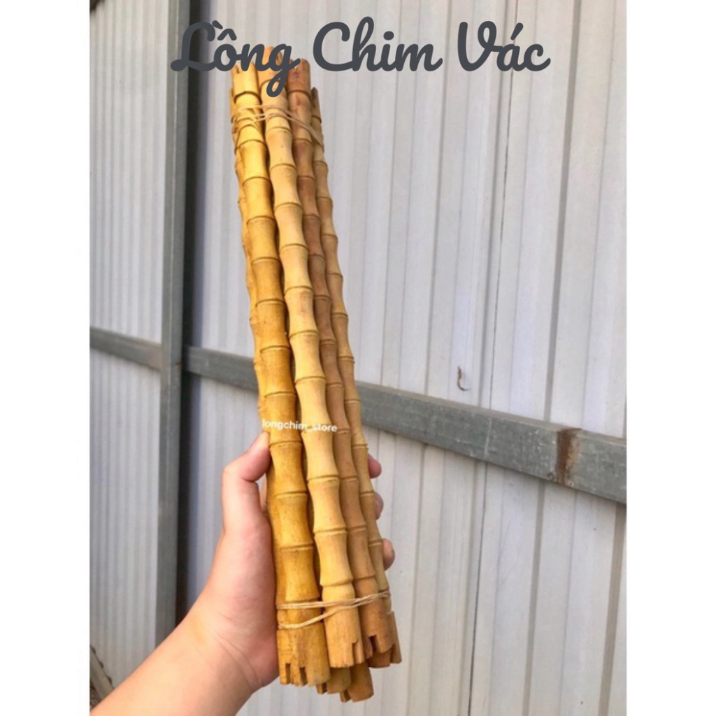 CẦU ĐỐT TRÚC KHUYÊN VÀ MI,MÀO,CHOÈ,KHƯỚU,.. - Lồng Chim Vác