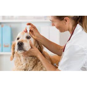 Chai Nước Nhỏ Mắt Bio-Gentadrop Cho Chó Mèo 10ml