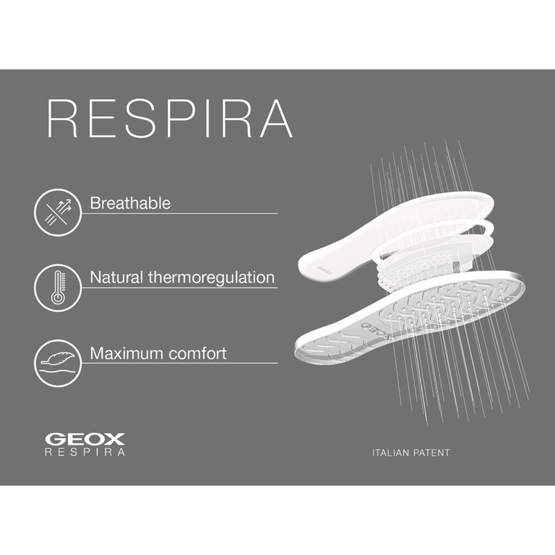 Giày nam size 47 ngoại cỡ geox chính hãng