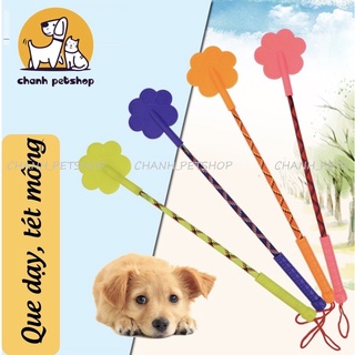Que dạy, huấn luyện. Dùng tét đít thú cưng siêu đáng yêu
