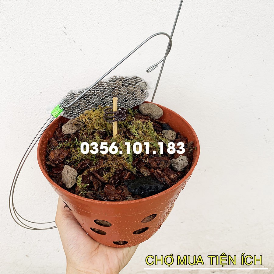 Chậu giá thể trồng lan Fi 17cm  kèm Móc treo Phân Bón