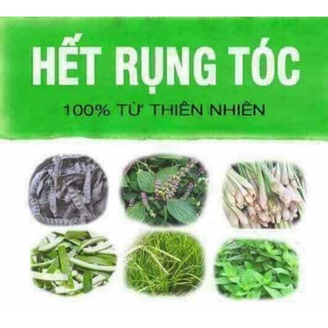 TÚI LỌC GỘI ĐẦU THẢO DƯỢC REEL BEAUTE