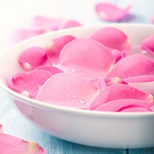 Sữa tắm cánh hoa hồng  GoBo cỏ cây hoa lá | BigBuy360 - bigbuy360.vn