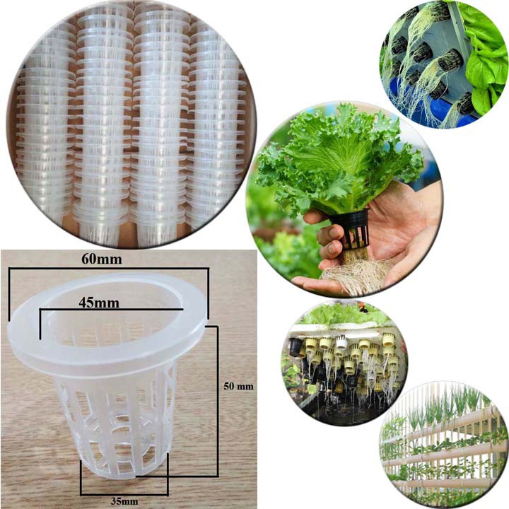 Rọ Nhựa Trồng Rau Thủy Canh - Màu Trắng - 60 mm