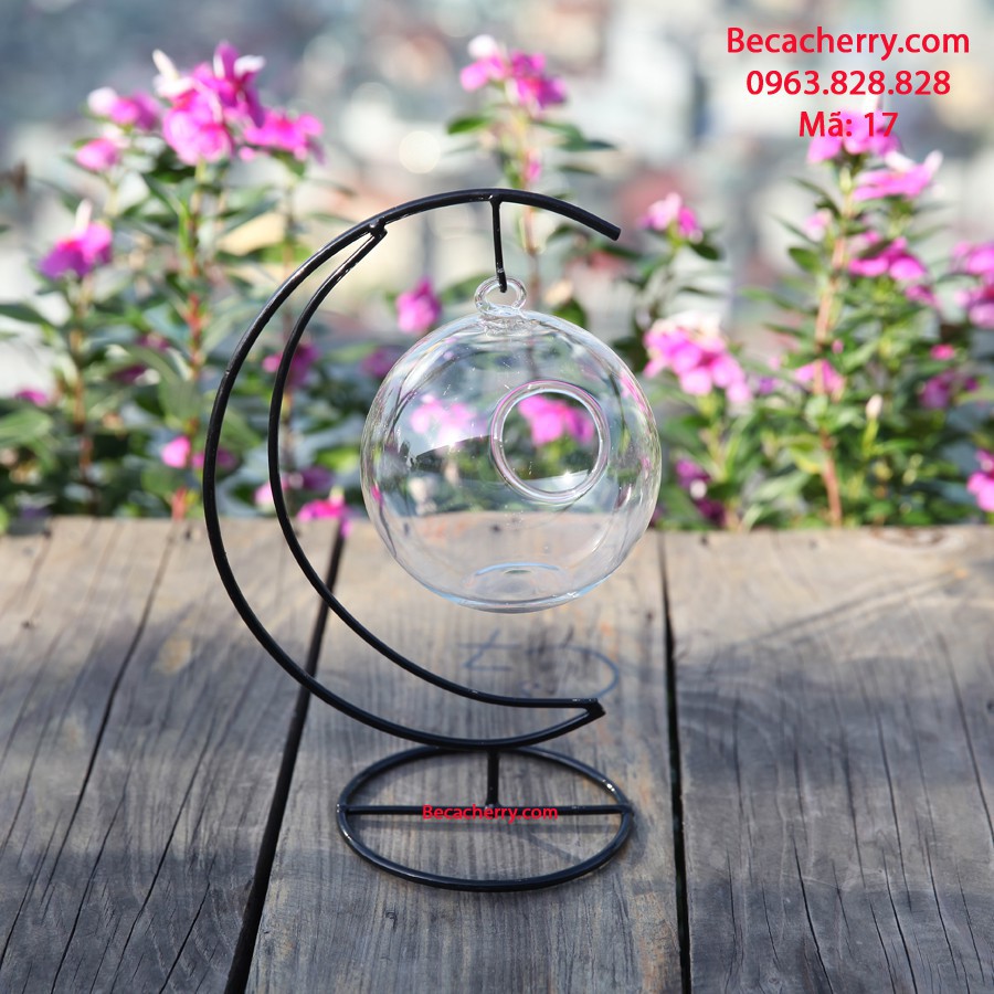 Bể cá mini cung trăng 17 trăng nhỏ ( tặng kèm phụ kiện trang trí ) | BigBuy360 - bigbuy360.vn