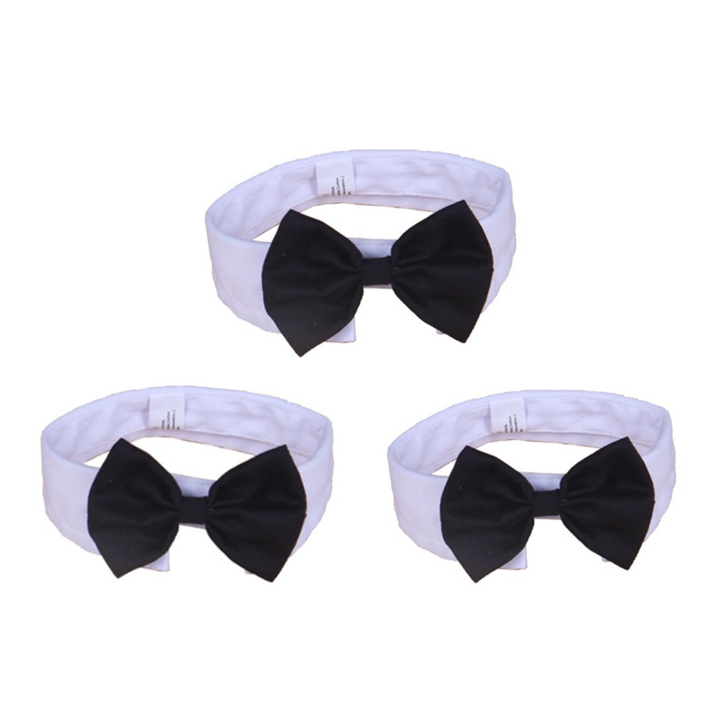 Vòng cổ nơ bướm cho thú cưng