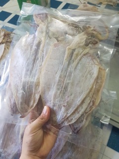 500gr mực size 18 con