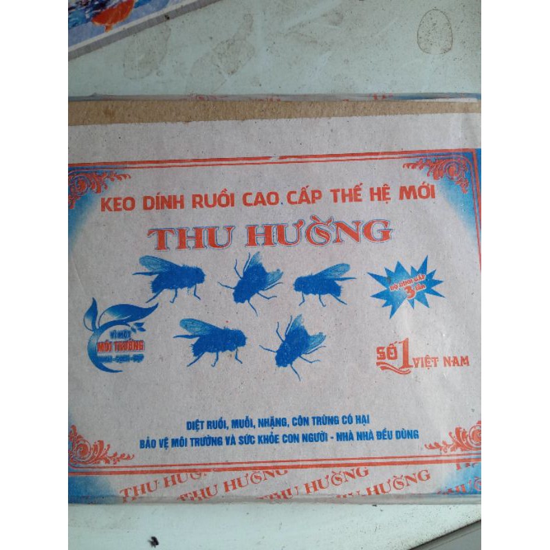 20 vỉ dính ruồi
