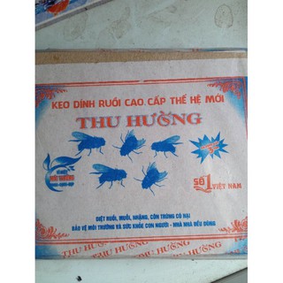 20 vỉ dính ruồi