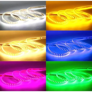 COMBO 10M ĐÈN LED DÂY 2835 BỌC NHỰA CAO CẤP + TẶNG 1 NGUỒN