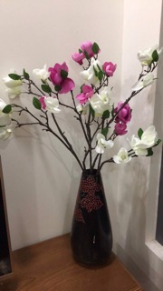 Mộc lan cành cao 80cm