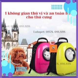 Balo phi hành gia cho thú cưng/ ba lo trong suốt cho chó mèo/ balo vận chuyển chó mèo/ balo đựng chó mèo